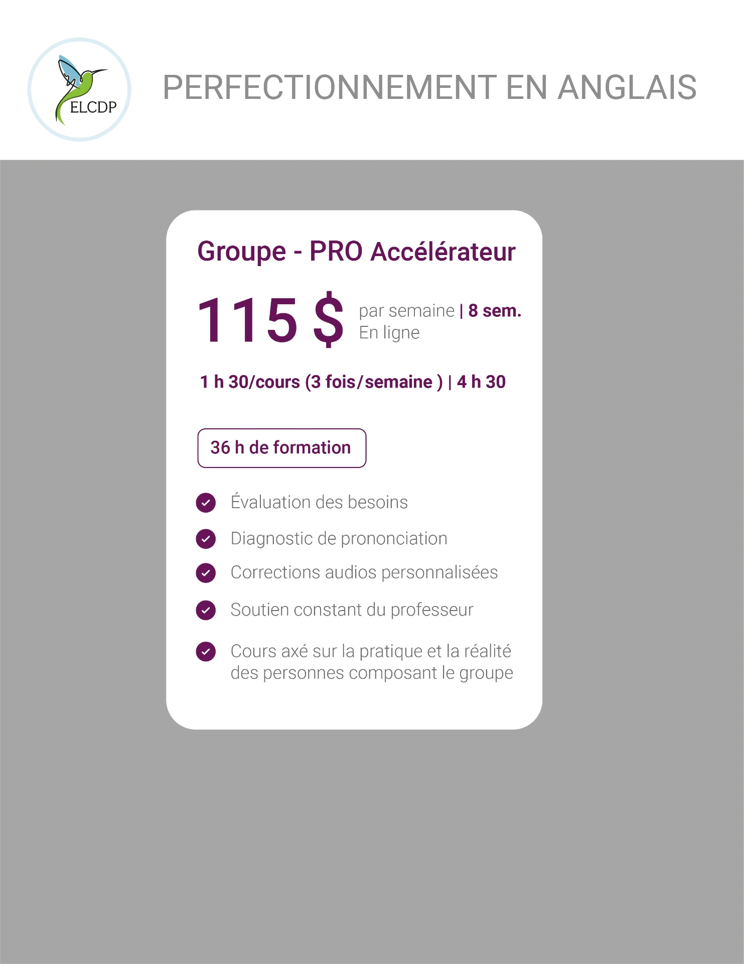 [ELCDP-ANG-PRO3-E26] Perfectionnement en anglais pour professionnels (3 fois par semaine)